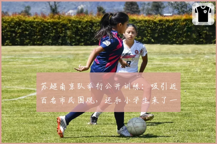 苏超南京队举行公开训练：吸引近百名市民围观，还和小学生来了一场热身赛