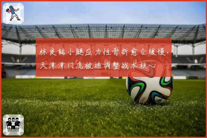林良铭小腿应力性骨折愈合缓慢，天津津门虎被迫调整战术核心