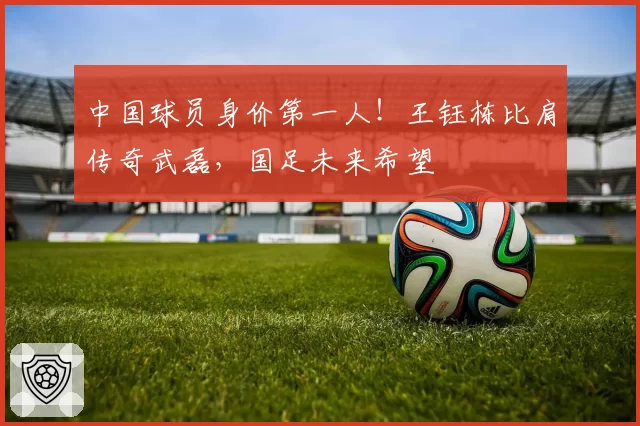 中国球员身价第一人!王钰栋比肩传奇武磊,国足未来希望