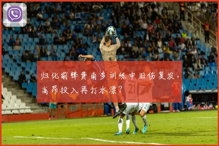 归化前锋费南多训练中旧伤复发，高昂投入再打水漂？